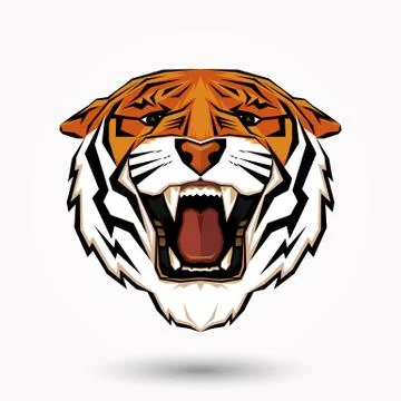 Tiger head Stock Illustration