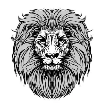 Tiger head Stock Illustration