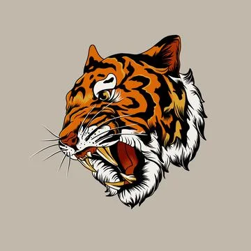 Tiger head Stock Illustration