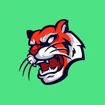 Tiger Head Stock Illustration