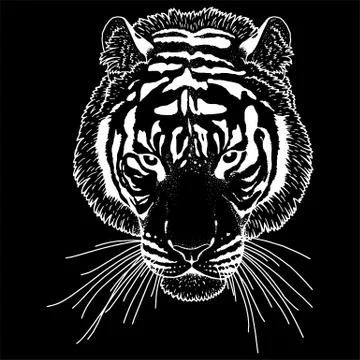 Tiger Head Illustration Vector Stock Illustration
