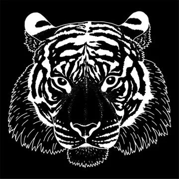 Tiger Head Illustration Vector Stock Illustration