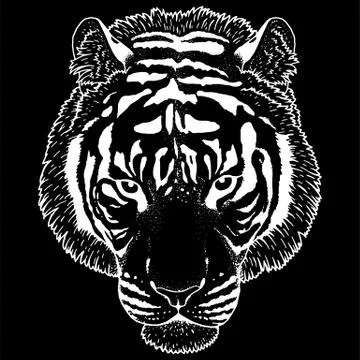 Tiger Head Illustration Vector Stock Illustration