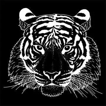 Tiger Head Illustration Vector Stock Illustration