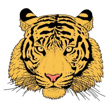 Tiger Head Illustration Vector Stock Illustration