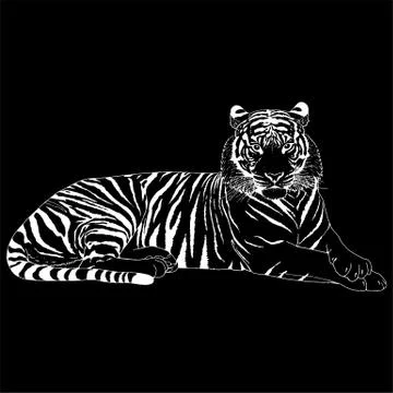Tiger Head Illustration Vector Stock Illustration