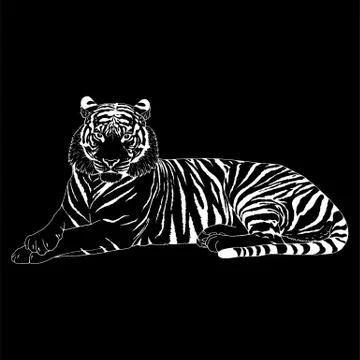 Tiger Head Illustration Vector Stock Illustration