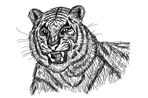 Tiger head line art Stock Illustration