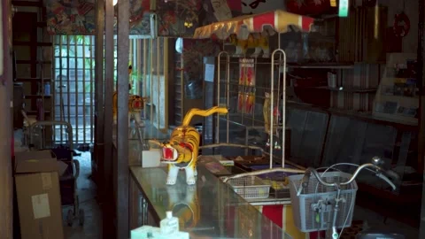 Tiger head moving Stock Footage 139664767