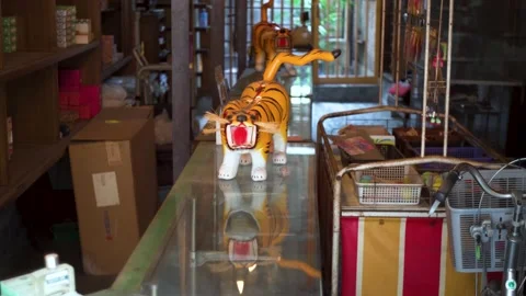 Tiger head moving Stock Footage 139664952