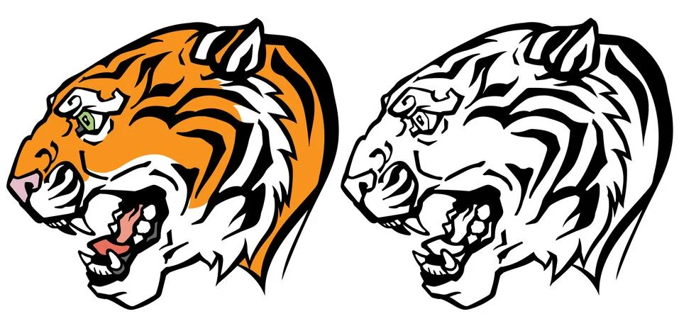 Tiger head profile Stock Illustration