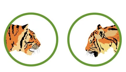 Tiger head vector illustration isolated on white イラスト素材