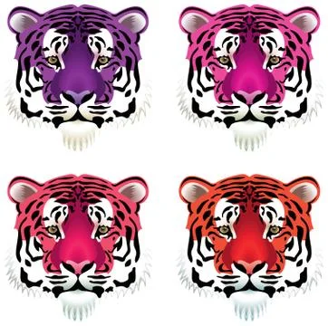 Tiger heads Stock Illustration