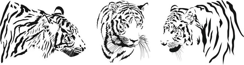 Tiger heads Stock Illustration