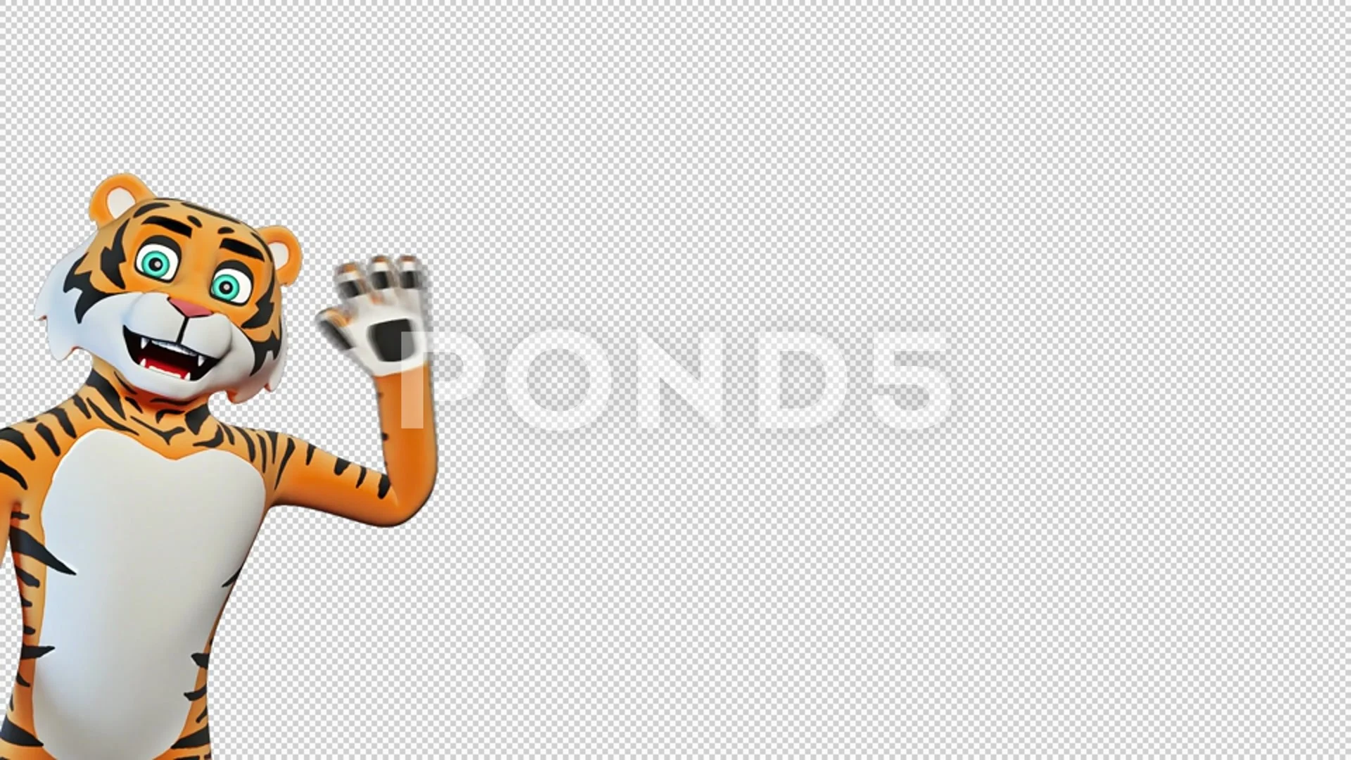 Tiger Hi From Left Corner Video Loop and... | Stock Video | Pond5