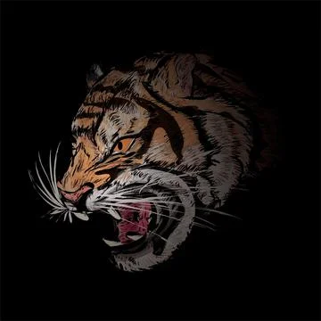 Tiger hidden in the dark, vector drawing illustration. Illustrazione stock