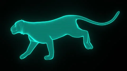 Tiger Hologram Running Side View Video stock 332634361