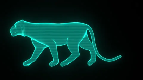 Tiger Hologram Walking Profile Video stock 332634360