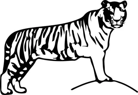 Tiger icon on white background Stock Illustration