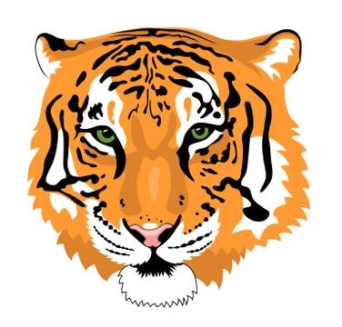 Tiger Stock Illustration