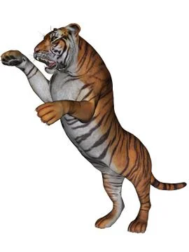 Tiger イラスト素材