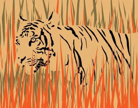 Tiger Stock-Illustration