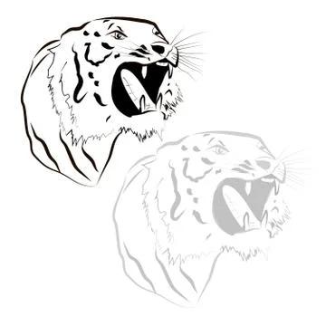 Tiger Illustrazione stock