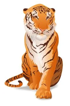 Tiger Stock Illustration