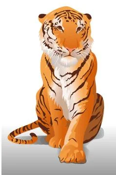 Tiger Stock Illustration