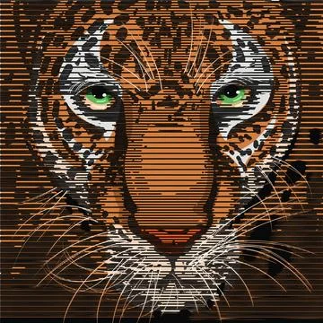 Tiger Stock Illustration