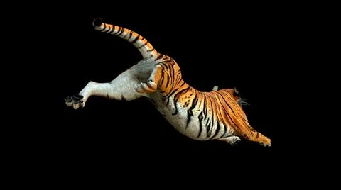 Tiger jump and leaping attack  realistic back view 3d rendering include alpha Stock Illustration