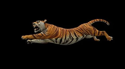 Tiger jump and leaping attack realistic 3d rendering side view include alpha  Stock Illustration