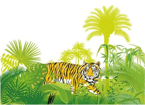 Tiger in the jungle, illustration vector Stock Illustration