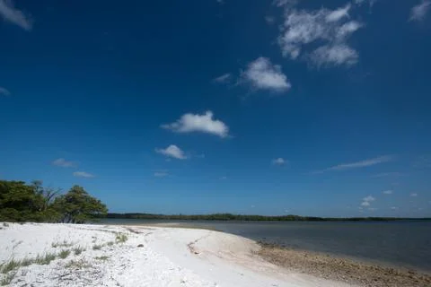 Tiger Key Stock Photos