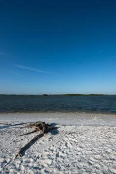 Tiger Key Stock Photos