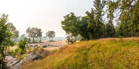 Tiger, landscape, Leopard Stock-Fotos