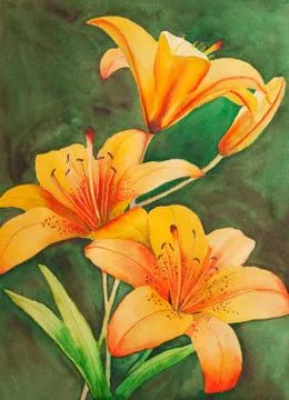 Tiger lilies Stock Illustration