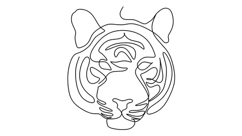 Tiger line art. Self drawing animation of continuous one line drawing Stock Footage 128424967