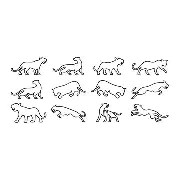 Tiger line icon set Stock Illustration