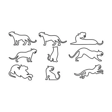 Tiger line icon set Stock Illustration