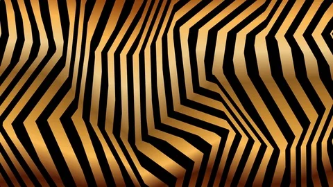 Tiger line stripe Stock Footage 98018821