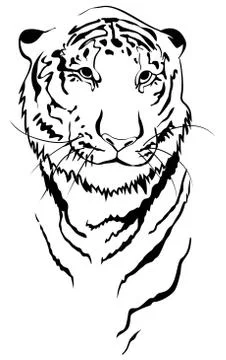 Tiger linear Stock Illustration