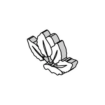 Tiger lotus isometric icon vector illustration イラスト素材