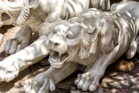 Tiger marble 스톡 사진