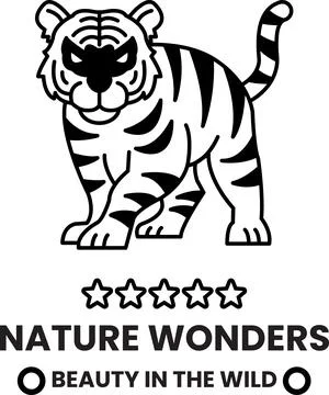A tiger with a mask on its face and a star on its head in the style of sign.. Stock Illustration