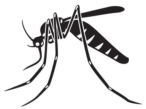Tiger mosquito Stock Illustration