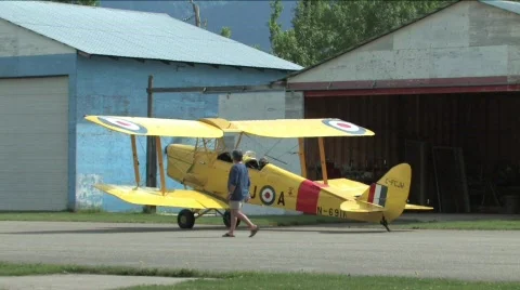 Tiger Moth Stock Footage 134854