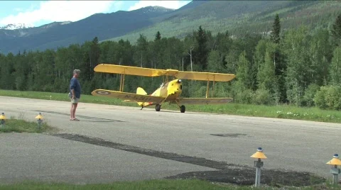 Tiger Moth Stock Footage 134857
