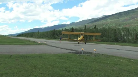 Tiger Moth Stock Footage 134862