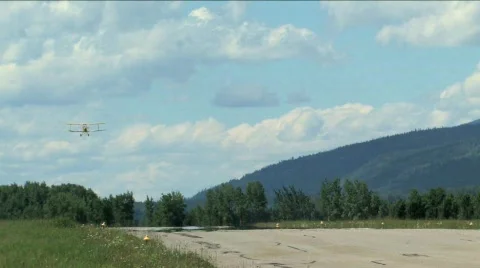 Tiger Moth Stock Footage 134869